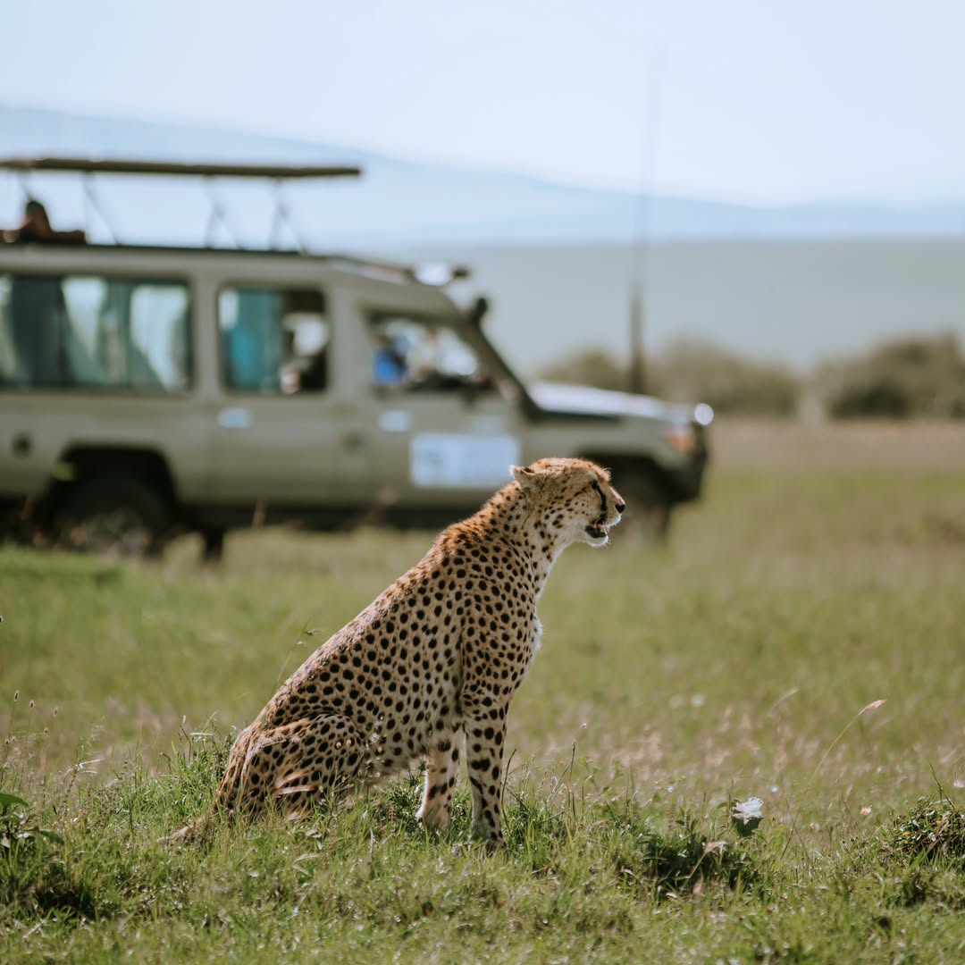 Maasai Mara